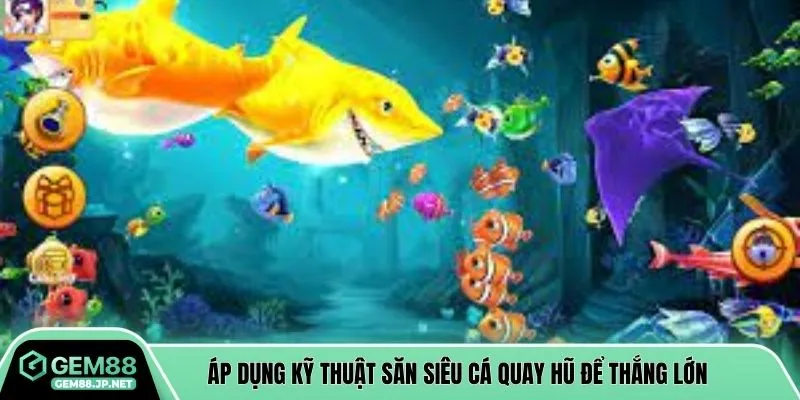 Áp dụng kỹ thuật săn siêu cá quay hũ để thắng lớn