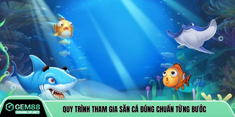 Quy trình tham gia săn cá đúng chuẩn từng bước